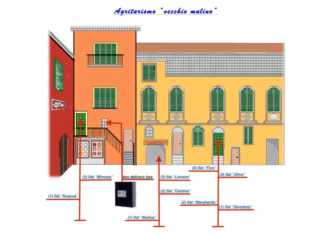 Agriturismo Il Vecchio Mulino Terzorio 外观 照片